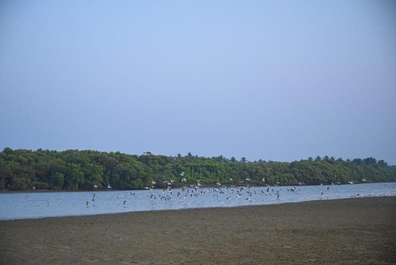 Reunion Ocean Tides Otel Udupi Dış mekan fotoğraf